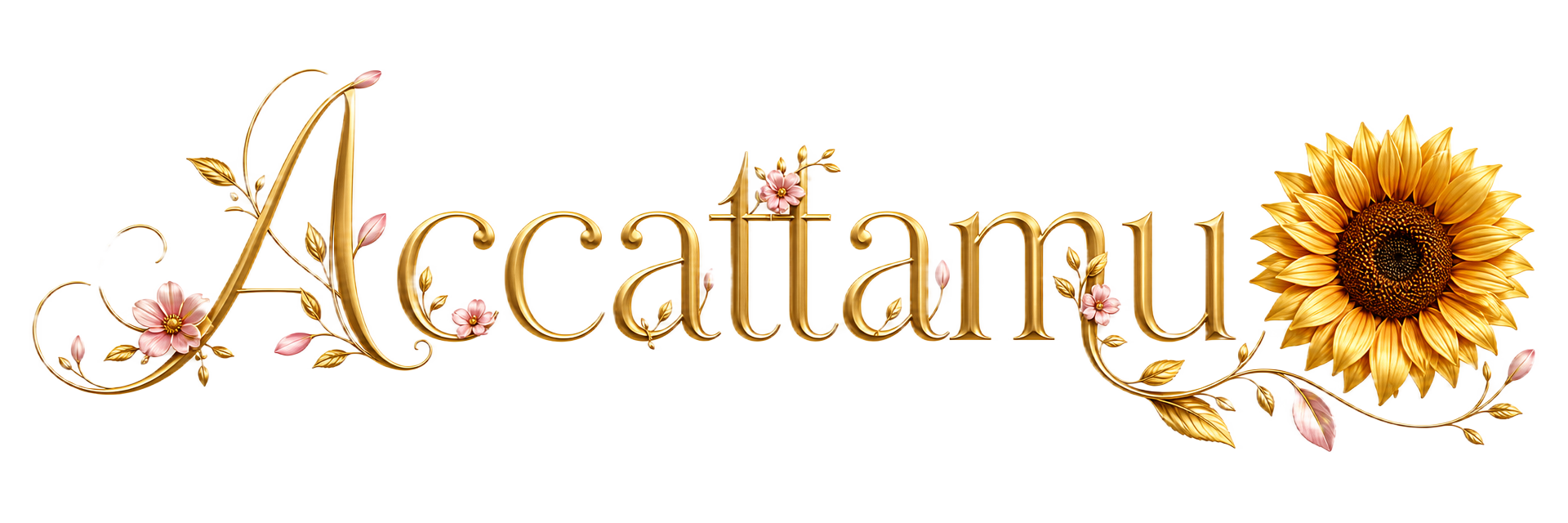 Accattamu